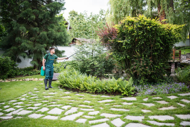 Best Best Pest Control Companies  in Windsor, IL