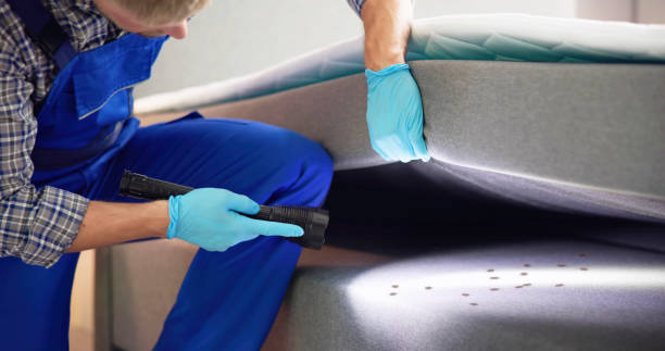 Best Emergency Pest Control  in Windsor, IL