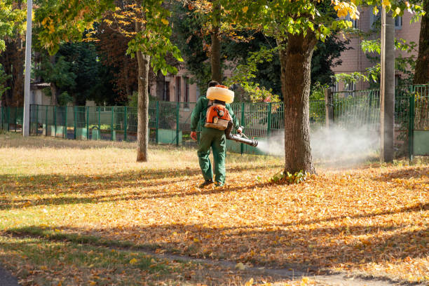 Reliable Windsor, IL Pest Control Solutions
